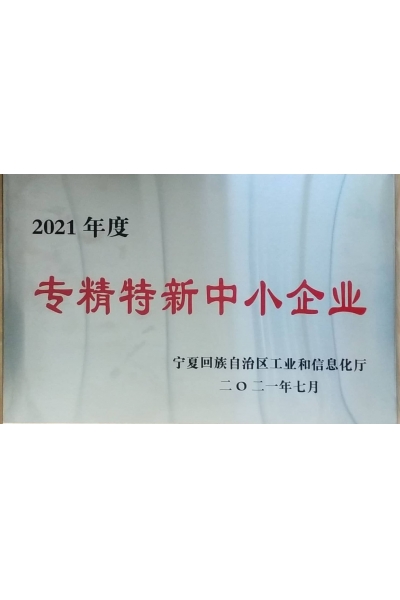 專(zhuān)精特新中小企業(yè)