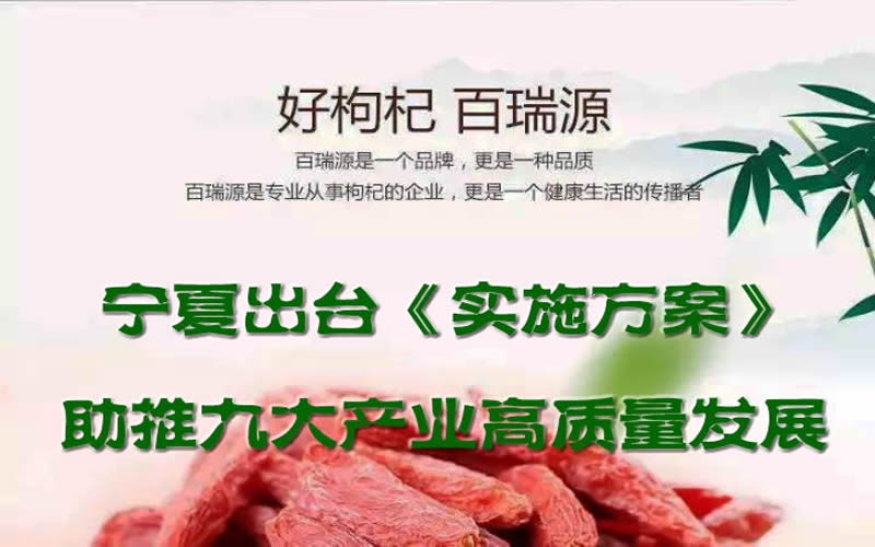 寧夏出臺(tái)《實(shí)施方案》助推九大產(chǎn)業(yè)高質(zhì)量發(fā)展