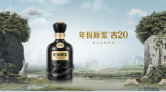 透過半年報(bào),看徽酒四強(qiáng)AB面|佳釀網(wǎng)·財(cái)